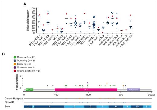 TP53 median variant allele frequencies (MAFs) and mutation specifics among PTCL cases with a TP53 mutation (n = 21). (A) MAF of TP53 mutations as compared with all other gene mutations in each tumor sample (n = 21). Each of these 21 patients’ biopsies are represented on the x-axis. Red symbols represent the MAF of the TP53 mutation. Black symbols represent the MAF of any non-TP53–mutated gene found in the same biopsy. The solid lines represent the median MAF of all mutations occurring in the biopsy sample. (B) Lollipop plot of TP53 mutations (n = 21). Each colored symbol represents a specific TP53 mutation along the entire coding region. The green boxed region represents the transactivation domain (P53_TAD). The red boxed region represents the DNA binding domain (P53). The blue boxed region represents the tetramerization domain (P53_tetramer). The next 2 rows signify that all mutations are listed in the OncoKB database as likely oncogenic, and 15 have been reported as cancer hotspot mutations. The bottom row illustrates the exon structure of the TP53 gene.