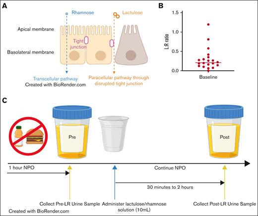 Study background and schema. (A) Rationale of saccharide ratios to measure intestinal permeability. (B) Urine lactulose:rhamnose (L:R) ratios of healthy control children after administration of lactulose/rhamnose solution. Horizontal line represents median. An abnormal L:R ratio is >1. (C) Study schema and timeline.