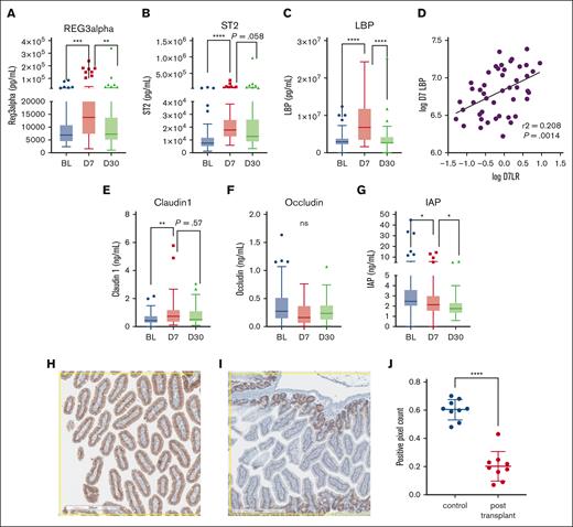 Human plasma and murine tissue biomarkers in HSCT recipients. Plasma (A) Reg3α, (B) ST2, and (C) LBP levels. (D) day +7 LBP and L:R ratios. Plasma (E) claudin1, (F) occludin, and (G) IAP levels. Representative 8× section (H) of control mouse duodenum stained for claudin1 (brown) and (I) from mouse 14 days after lethal irradiation and HSCT. (J) Positive pixel count of 3 sections from 3 mice in each group. ∗P < .05; ∗∗P < .01; ∗∗∗P < .001; ∗∗∗∗P < .0001.
