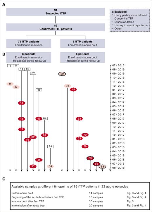 Recruitment of patients with iTTP cohort highlighting all acute iTTP episodes occurring during the prospective study. (A) Overview of patients enrolled in remission and during an acute iTTP episode. (B) All patients suffering 1 or several acute bouts are represented over the whole study period (time axis from July 2016 to August 2018 indicated on the right side). The left side of the panel shows the 8 patients enrolled in remission who suffered from relapse(s) during follow-up (black outlined boxes with patient numbers #2, 5, 11, 15, 32, 45, 64, 84). The red and pink stars show the acute relapse(s). The right side of the panel shows the 8 patients enrolled in acute episodes, indicated by red and pink stars (patient numbers #29, 36, 44, 63, 79, 85, 86, 88). The black outline of the stars indicates initial diagnoses (patients #29, 85, 86, 88). Pink stars indicate the acute episodes of patients who received treatment prior to biobanking. No blood samples were available from them at begin of the acute bout before first TPE (refer to panel C below). Red stars mark acute bouts with complete data and biobanking. (C) Summary of all available samples of 16 patients with 22 acute iTTP episodes at various time points (days-weeks before, acute iTTP onset before first TPE, during acute iTTP after first TPE, in remission after acute iTTP).