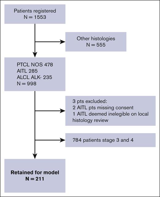 Flowchart of patients included in the analysis.