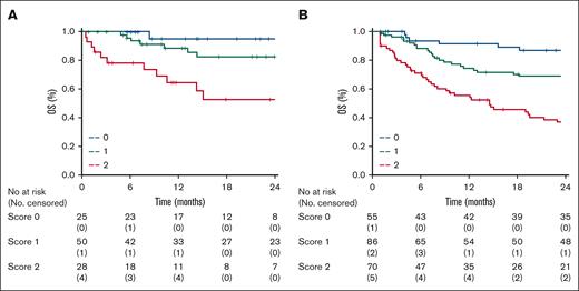 Kaplan-Meier curves of 2-year overall survival by risk groups. (A) Validation cohort (score 0 = 25 patients, score 1 = 50 patients, score 2 = 28 patients) compared with the (B) training sample.
