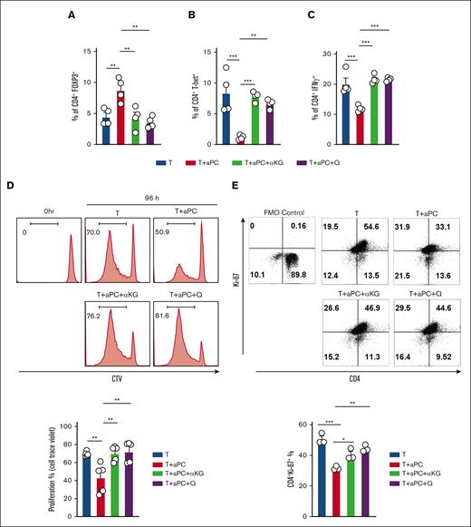 α-KG or glutamine restores Treg-phenotype caused by aPC. (A) Bar graph with dot plot showing FOXP3 expression in human CD4+CD25− cells stimulated in an MLR (96 hours) (A, n = 4). Control CD4+CD25− cells (T) compared with CD4+CD25− cells preincubated with aPC (T + aPC) (1 hour, 20 nM) or with supplementation of α-KG (48 hours, 3.5 mM, T + aPC + α-KG) or glutamine (48 hours, 4 mM, T + aPC + Q). (B-C) Bar graphs with dot plots summarizing the expression of CD4+T-bet+ (B, n = 4) and CD4+IFNγ+ (C, n = 4) in CD4+CD25− cells in the MLR as estimated by flow cytometry and described in panel A. (D) Representative flow cytometry histograms (top) and bar graph with dot plot (bottom) reflecting the percentage of proliferating human CD4+CD25− cells in the MLR as described in panel A and quantified by CellTrace Violet cell proliferation dye (n = 5). (E) Representative flow cytometry plots and bar graph with dot plots of CD4+Ki-67+ cells after stimulation of human CD4+CD25− cells with plate-bound αCD3 and αCD28 for 96 hours and treated as described in panel A. The data are shown as the mean ± SEM, and statistical significance was determined by 1-way ANOVA for panels A-E: ∗P < .05, ∗∗P < .01, and ∗∗∗P < .005.