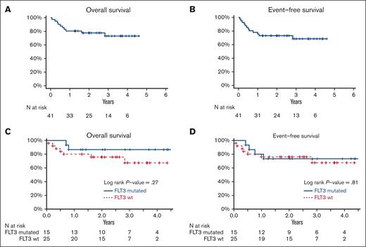 Estimates of overall survival and event-free survival for patients treated at the RP2D of CLAG-M/sorafenib. Estimates of (A,C) OS and (B,D) EFS for patients treated with CLAG-M/sorafenib for (A-B) the entire RP2D cohort and (C-D) the RP2D cohort stratified based on FLT3 mutation status. Wt, wild-type.