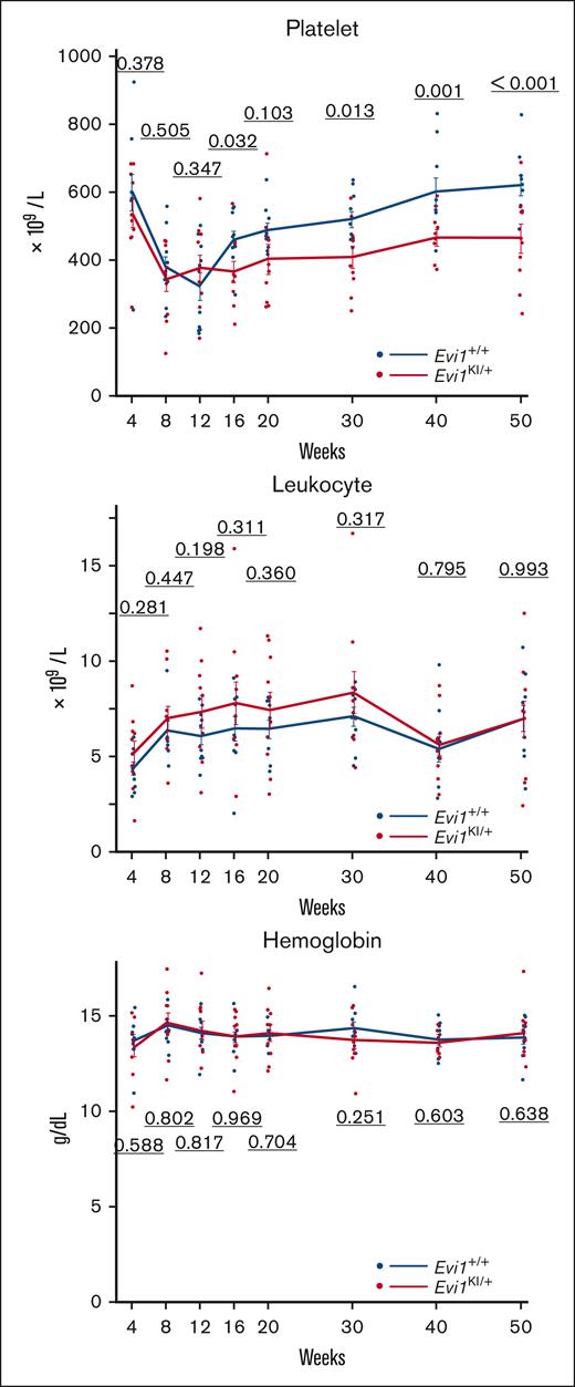 Evi1KI/+ mice show decreased platelet count with age. (A) Peripheral blood cells of Evi1+/+ and Evi1KI/+ age- and sex-matched littermates (Evi1+/+, n = 10; Evi1KI/+, n = 10). The platelet count of Evi1KI/+ mice was significantly lower than that of Evi1+/+ mice at 16, 30, 40, and 50 weeks of age. Threshold significance level, P = .05 (2-tailed Welch t test). Underlined numbers denote the P value. Values are the mean ± SEM of each group.