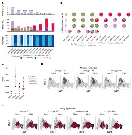 TCR clonality patterns in SS and MF. (A) Quantification of number of clones, number of cells, and percent clone size in each sample for MF (MF1-MF3) and SS (SS1-SS4) major and minor clones from scRNA-seq and VDJ-seq. (B) Pie charts for composition of clones stratified by clone size, with color representing cells in different groups. (C) Shannon Clonality Index of TCR clones of MF and SS samples by group for major and minor clone T cells. UMAP representing the dominate clones for each MF (D) and SS (E) sample for CD4+CD26+ and CD4+CD26− T cells detailing the distribution of the clone in each group. Clonality was calculated for groups ≥50 cells.