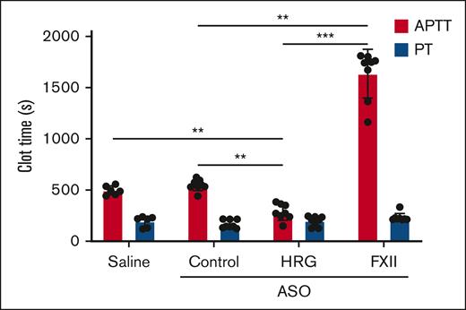 Effect of treatment with saline, or control, HRG, or FXII ASOs on the aPTT and PT. The dilute aPTT (red bars) and PT (blue bars) were determined in the plasma collected from rabbits after a 4-week course of treatment with saline (n = 6) or control, or HRG or FXII ASO (N = 8 per group). Bars represent mean ± SD from 3 determinations for each rabbit. ∗P < .05; ∗∗P < .01; and ∗∗∗P < .001 comparison of aPTT results as indicated by the lines (one-way ANOVA and Holm-Sidak method).