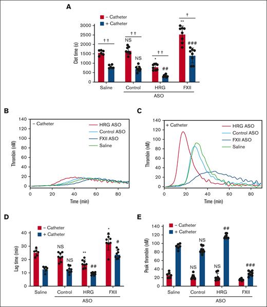 Effect of treatment with saline, or control, HRG, or FXII ASOs on ex vivo catheter-induced thrombin generation. Rabbit plasma was collected after a 4-week course of treatment with saline (n = 6 per group), or HRG or FXII ASOs (n = 8). (A) Plasma was incubated in the absence or presence of catheter segments for 15 minutes at 37°C before clotting was initiated by the addition of 20 mM CaCl2. Absorbance was monitored, and plasma recalcification clot time was determined as the half-time of maximal absorbance. Thrombin generation was initiated by addition of 20 mM CaCl2 and was quantified by monitoring the hydrolysis of 1 mM Z-Gly-Gly-Arg-7-amino-4-methyl coumarin (Z-GGR-AMC) thrombin substrate. (B-C) Representative thrombin generation profiles in the absence (B) or presence (C) of catheter segments. (D) Mean lag time and (E) peak thrombin in the absence (red bars) or presence (blue bars) of catheter segments are shown. Bars represent mean ± SD from 3 determinations per rabbit, each performed in duplicate. ∗P < .05; ∗∗P < .01; and ∗∗∗P < .001 comparison of saline-treated plasma in the absence of catheter segments; #P < .05 and ##P < .01 comparison of saline-treated plasma in the absence of catheter segments; †P < .05 and ††P < .01 as indicated by the lines (one-way ANOVA and Holm-Sidak method).