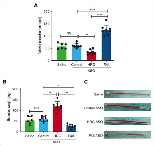 Effect of treatment with saline, or control, HRG, or FXII ASOs on time to catheter occlusion and thrombus weight. After a 4-week course of treatment with saline (n = 6 per group), or control, HRG, or FXII ASOs (n = 8 per group), catheters were implanted in the jugular vein and the time to catheter occlusion (A) and the weight of the explanted catheter thrombi (B) were determined. Mean ± SD, with the symbols representing the results in individual rabbits. ∗P < .05; ∗∗P < .01; ∗∗∗P < .001; and ∗∗∗∗P < .0001 comparisons between catheter occlusion times or thrombus weights as indicated by the lines; (one-way ANOVA and Holm-Sidak method). (C) Representative images of explanted catheters with intralumenal thrombi. NS, not significant.