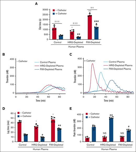 Catheter-induced clotting and thrombin generation in control, HRG-depleted, or FXII-depleted human plasma. (A) Plasma was incubated for 15 minutes at 37°C in the absence or presence of catheter segments before initiating clotting by addition of 20 mM CaCl2. Absorbance was monitored, and plasma recalcification times were determined as the time to half maximal absorbance. Bars represent the mean ± SD of 4 determinations. ∗P < .05 and ∗∗∗P < .001 comparison of the plasma recalcification time in the absence of catheter segments (red bars); ##P < .01 and ###P < .001 comparisons of the plasma recalcification time in the presence of catheter segments (blue bars); ††P < .01 and †††P < .001 as indicated by the lines (one-way ANOVA and Holm-Sidak method). (B-E) Plasma was incubated in the absence or presence of catheter segments for 15 minutes at 37°C, and thrombin generation was initiated by the addition of 20 mM CaCl2 and was quantified by monitoring the hydrolysis of 1 mM Z-GGR-AMC. Representative thrombin generation profiles in the absence (B) or presence (C) of catheter segments. Mean lag time (D) and peak thrombin (E) in the absence (red bars) or presence (blue bars) of catheter segments are shown. Bars represent mean ± SD from 5 determinations each performed in duplicate. ∗P < .05 comparison of the control plasma in the absence of catheter segments. #P < .05 and ##P < .01 comparisons of the control plasma in the absence of catheter segments; P > .05 (one-way ANOVA and Holm-Sidak method).