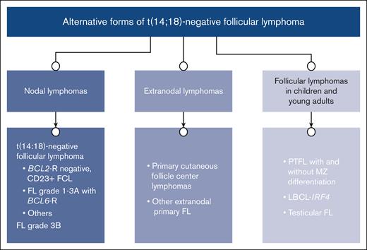 Alternative forms of t(14;18)-negative FL. The cases are classified per site of presentation; nodal vs extranodal, and those cases presenting mainly in children and young adults.
