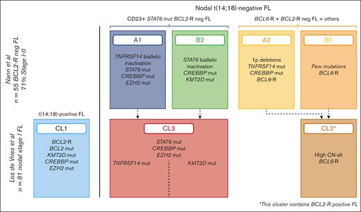 Different genetic clusters of nodal t(14;18)-negative FL. Comparison of 2 studies that identified a distinct molecular cluster characterized by STAT6 mutations.32,33 The 2 studies highlight the frequent cooccurrence of STAT6 and CREBBP mutations.
