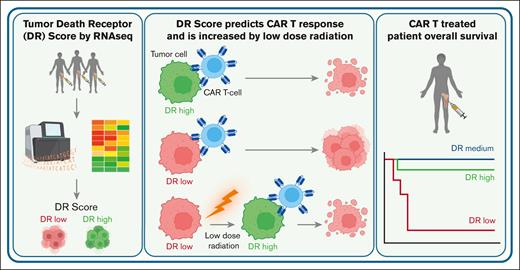 Low leukemia DR score predicts poor response to CAR T-cells but can be raised by neoadjuvant low-dose total tumor irradiation, which improves CAR T-cell response in mice.