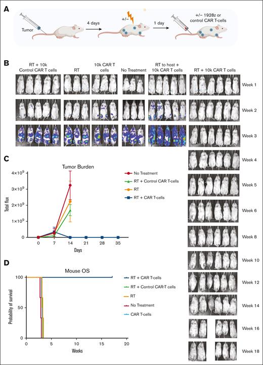 Low-dose RT improves survival of mice treated with CAR T cells. (A) Schematic diagram of treatment delivery. (B) Bioluminescent imaging (BLI) comparing the outcomes of mice treated with the indicated conditions, quantified in (C) with overall survival charted in (D). 10 000 CAR T cells were used in these studies.