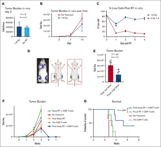 Systemic low-dose radiation is less debulking than focal high-dose radiation but results in significantly improved response and survival with CAR T cells. (A) Two days after the low-dose (1.8 Gy in 1 fraction) RT or sham procedure, mice were euthanized and the total number of human CD19+ cells were quantified per femur using flow cytometry. (B) Bioluminescence imaging was used to quantify F. Luciferase-expressing tumor cells in vivo over time, after low-dose RT or no treatment. (C) The precise cytotoxic effects of low- vs high- (20 Gy in 4 fractions) dose RT were quantified in vitro over time using flow cytometry, with live cells defined as Zombie NIR negative Annexin-V negative. (D) Bioluminescence imaging of tumor-bearing mice showing systemic tumor distribution (left), and the radiation fields used for focal or systemic tumor targeting (right). (E) Total body tumor burden 1 day after completing systemic (aka total body) low-dose vs focal “debulking” high-dose radiation. Total body tumor burden (F) and overall survival (G) of mice treated with low-dose CAR T cells after the various indicated conditioning regimens. 10 000 CAR T cells were used in these studies.