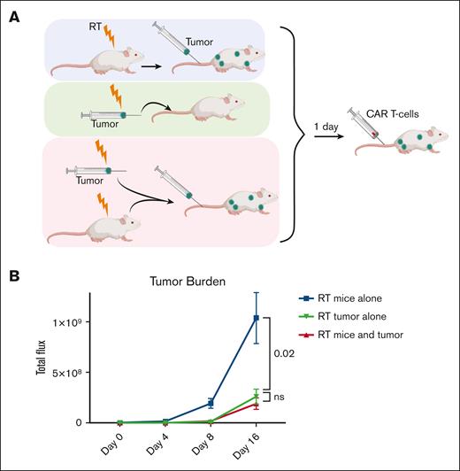 The benefit of low-dose total body irradiation before CAR T-cell therapy is primarily owing to direct tumor rather than host effects. (A) Schematic diagram of treatment delivery with low-dose RT being given to the mice alone (top), the tumor alone (middle), or the tumor and mice (bottom) separately followed by CAR T-cell therapy. (B) Bioluminescence imaging showing tumor burden over time of mice in the indicated treatment group. 10 000 CAR T cells were used in these studies, with 50% more tumor cells than Figures 1 and 2 to better assess differences in efficacy.