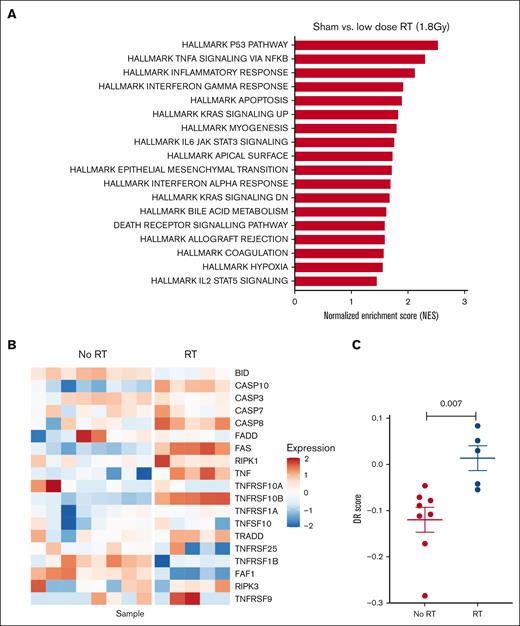The DR score is significantly increased in tumor cells after low-dose radiation. Nalm6 samples were cultured independently and treated with either low-dose radiation (1.8 Gy, n = 5) or sham (0 Gy, n = 8) treatment, followed 24 hours later by RNA-seq, GSEA, and DR score determination. (A) GSEA of hallmark gene sets and the DR score gene set enriched in 1.8 Gy low-dose radiation compared with sham-treated Nalm6 cells. False discovery rate <5%. (B) Individual samples (columns) and genes (rows) comprising the DR score are shown as a heatmap. (C) DR score charted by treatment condition.
