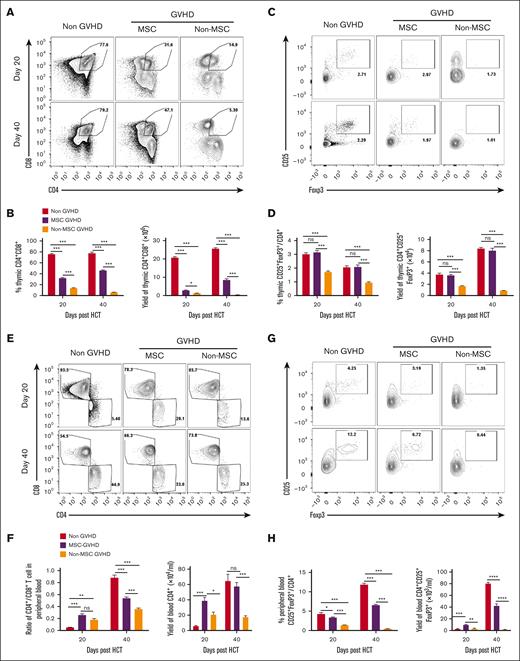 MSCs promote intrathymic T-lymphocyte development. The number and proportion of CD4+CD8+ DP thymocytes and thymic Tregs, the ratio of CD3+CD4+:CD3+CD8+ T cells, Treg proportion, yield of CD4+ T cells and Tregs in the blood were assessed on day 20 and day 40 after HCT with flow cytometry. The results are shown as mean ± SE (n = 4-6). (A) Representative flow patterns of CD4+CD8+ DP thymocytes. (B) Percentage and yield of DP thymocytes, data shown as the mean ± SE (n = 4-6). (C) Representative flow patterns of gated CD4+ single-positive thymocytes shown as CD25 vs FoxP3. (D) Percentage and yield of CD4+CD25+FoxP3+, data shown as the mean ± SE (n = 4-6). (E) Representative flow patterns of gated CD3+ T cells in the blood shown as CD4 vs CD8. (F) The ratio of CD4+ T cells to CD8+ T cells and yield of CD4+ T cells, data shown as the mean ± SE (n = 4-6). (G) Representative flow patterns of gated CD4+ T cells in the peripheral blood shown as CD25 vs FoxP3. (H) Percentage and yield of CD25+FoxP3+ in CD4+ T cells, data shown as the mean ± SE (n = 4-6). ∗P < .05; ∗∗P < .01; ∗∗∗P < .001; ∗∗∗∗P < .0001.