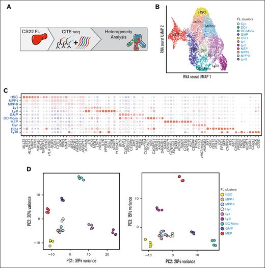 A transcriptional map of primitive cells from the first trimester FL. (A) Schematic presentation of the data in the figure. (B) UMAP of cellular states within LIN–CD45+CD34+ FL cells at CS22 (2 donors) (C) Bead plot of DEGs between clusters, where the size of the circle is the fraction of cells with expression and the color represents the z-scored mean expression. (D) Cells from the different cell states in (B) were pseudobulked, and PCA was performed using the top 500 variably expressed genes. PC1 vs PC2 (left) and PC2 vs PC3 (right).