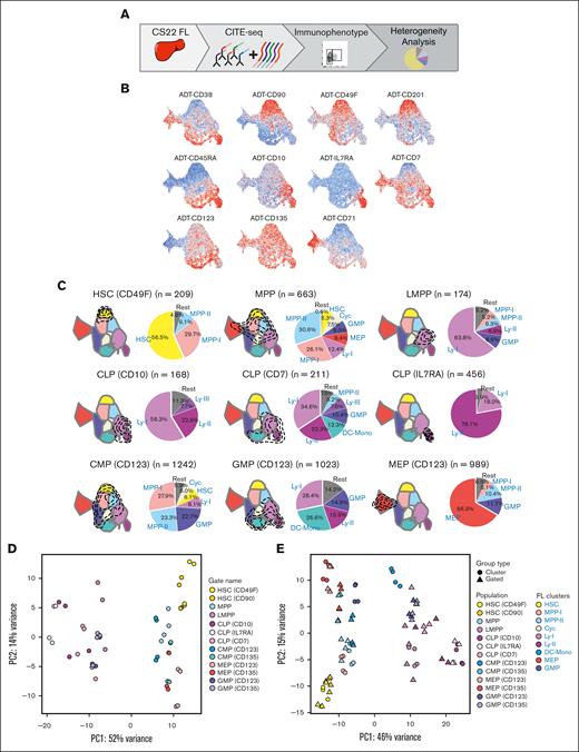 Molecular heterogeneity of immunophenotypically defined progenitor compartments. (A) Schematic presentation of the data in the figure. (B) FL CS22 UMAPs of ADT expression of single surface markers; red represents high expression and blue low expression. (C) Transcriptional cell states captured for immunophenotype-gated populations are shown within the contours on the FL CS22 UMAP. Pie charts show percentages of the different molecular clusters within each immunophenotype-gated progenitor. Colors represent the cluster colors, defined in Figure 1B. (D) PCA of pseudobulked ADT-gated cell populations using the top 500 variably expressed genes. (E) Combined PCA of pseudobulked ADT-gated cell populations and clusters (defined in Figure 1B), top 500 variably expressed genes. (For immunophenotypic definition of populations, refer to “Materials and methods”).