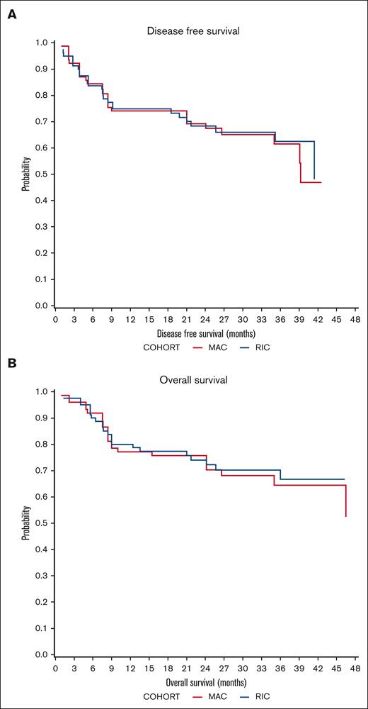 Survival outcomes. (A) Probability of DFS in MAC (red) and RIC (blue) recipients. (B) Probability of OS.