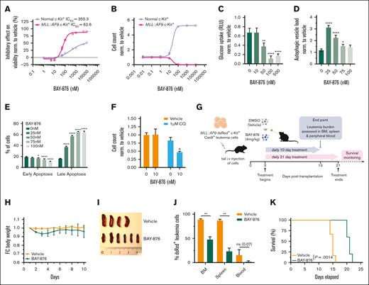 Pharmacological inhibition of GLUT1 by BAY-876 selectively targets MLL::AF9 leukemia cells. (A) Dose-dependent inhibitory effect of 1-10 000 nM BAY-876 on c-Kit+ normal and c-Kit+MLL::AF9 leukemia cells assessed by total ATP levels after 24-hour treatment. The percentage of inhibition in viability is normalized to DMSO-treated controls, and IC50 values are indicated. (B) Flow cytometry quantification of cell numbers of normal and c-Kit+MLL::AF9 leukemia cells upon 72-hour treatment with 0.01-10 000 nM BAY-876. (C-E) Dose-dependent effects on (C) glucose uptake, (D) autophagic vesicle load, and (E) early-/late-stage apoptosis status in MLL::AF9 leukemia cells after 24- to 72-hour treatment with BAY-876. (F) Flow cytometric quantification of viable cells after 72-hour treatment with BAY-876 alone or 1 μM CQ. Data is normalized to DMSO-treated control, and synergistic effects are marked with the letter “S.” (G) Schematic experimental outline for assessment of the inhibitory effect of BAY-876 on leukemia cells in vivo. For the experiment with a defined end point, mice received transplantation with 1 × 105MLL::AF9 c-Kit+ cells, and 3 days after transplantation, were randomized into groups receiving daily dosing of 4 mg/kg BAY-876 or vehicle (n = 4-6 mice per group). After 10 days of treatment, animals were euthanized (end point) and leukemia burden was assessed. For the survival experiment, mice that received transplantation were treated with 4 mg/kg BAY-876 or vehicle for 21 days and monitored for survival (n = 5-6 mice per group). (H) Longitudinal comparison of body weight, (I) visual comparison of spleen size, and (J) percentage of leukemic occupancy in the BM, spleen, and peripheral blood of mice treated with BAY-876 or vehicle treatment. Significance was measured by unpaired 2-tailed Student t test. (K) Kaplan-Meier survival analysis of mice inoculated with c-Kit+MLL::AF9 leukemia cells and treated with vehicle or BAY-876 for 21 days (n = 5-6 per group; log-rank test). Data are shown as mean ± SD (n = 3) and statistical testing was performed by 1-way ANOVA unless otherwise stated. ∗P < .05; ∗∗P < .01; and ∗∗∗∗P < .0001. Illustration in panel G created using BioRender. Refer to supplemental Figure 5. ATP, adenosine triphosphate; BM, bone marrow; IC50, half-maximal inhibitory concentration; RLU, relative luminescence units.