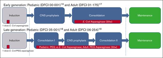 ALL DFCI consortium treatment protocols. Including pediatric protocols (00-001 and 05-001) and pediatric-inspired protocols (01-175 and 06-254). Asparaginase administration is marked in red. CNS, central nervous system.