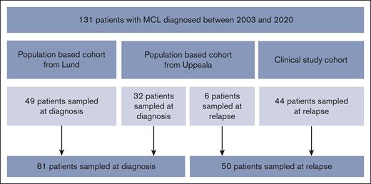 Flowchart of the MCL cohorts. The 38 patients from Uppsala also contributed with 29 samples taken during treatment, 33 samples taken in remission, and 6 samples taken at later relapses. Twenty-four of the patients from Uppsala had matching tissue samples from the time of diagnosis (n = 21) or relapse (n = 3).