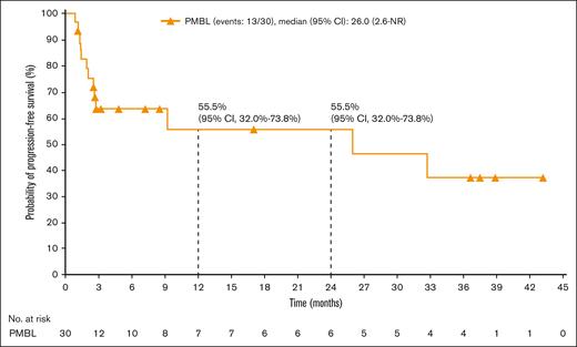 PFS, per investigator, in all treated patients with R/R PMBL. NR, not reached.