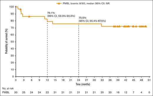 OS, per investigator, in all patients with R/R PBML who received trearment.