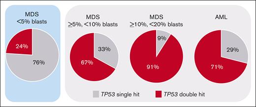 Frequency of TP53 single-hit and double-hit events. The frequency of the respective TP53 states in the blast-dependent subgroups is depicted. Although <5% of MDS cases predominantly showed single-hit events (highlighted in blue), the other subgroups are dominated by TP53 double-hit events (marked in light gray).