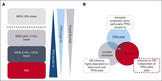Graphical summary of interplay of TP53 state, blast count, and complex karyotype in MDS and AML. (A) Summary of the general trends of the frequency of TP53 allelic state (single hit vs double hit) and outcome of patients in the analyzed subgroups. MDS cases with <5% blasts clearly separate from MDS cases with ≥5% blasts and from AML cases by the predominance of TP53 single hit and by being the only subgroup in which a complex karyotype showed an independent adverse impact on OS. The remaining subgroups (MDS with ≥5% but <10% blasts; MDS with ≥10% but <20% blasts; and AML) display a number of similarities, with TP53 double hit found at high frequencies and only TP53 alterations but not a complex karyotype independently influencing OS. Please note that the graphic indicates a general trend but that MDS with ≥10% but <20% blasts actually showed a higher percentage of TP53 double hit compared with AML. Furthermore, a decrease in survival with increasing blast count was observed. (B) Interplay of TP53 state, blast count, and complex karyotype on OS. In the total cohort, TP53 state, in particular the double hit, was the strongest prognostic factor; however, also the blast count influenced OS independent of TP53 allelic state. By contrast, the influence of the presence of a complex karyotype on OS seems to be highly dependent on blast count and TP53 allelic state.