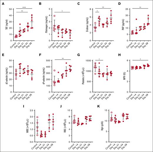 Biomarker and blood cell levels in a mouse xenograft model of APL. (A) TAT, (B) fibrinogen, (C) D-dimer, (D) PAP, (E) sE-selectin, (F) sP-selectin, (G) platelet count, (H) MPV, (I) WBC count, (J) RBC count, and (K) hemoglobin (Hgb) levels were measured in the plasma or whole blood of control and leukemic mice on days 14, 21, 24, and 28 (n = 4-6 per group). Data are shown as mean ± SD (A-C,E,G-K) or median ± interquartile range (D,F), depending on normality. The one-way analysis of variance with Dunnett multiple comparisons test (A-C,E,G-K) or the Kruskal-Wallis test with Dunn multiple comparisons test (D,F) was used, depending on the normality of data. ∗P < .05; ∗∗P < .01; ∗∗∗∗P < .0001.