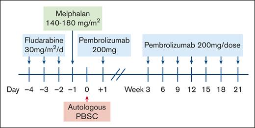 Treatment schema. PBSC, peripheral blood stem cells.