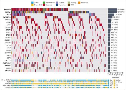 Mutational landscape of FL. Waterfall plot displaying patterns of mutations in 25 genes mutated in ≥10% of all FL samples. SMGs highlighted in bold on left y-axis.