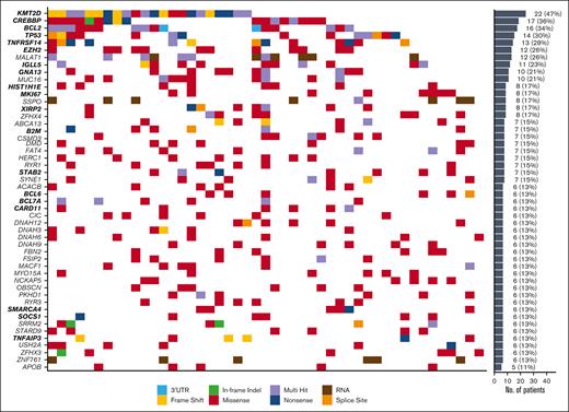 Mutational landscape of t-FL. Waterfall plot displaying patterns of mutations in 50 most frequently mutated genes in t-FL samples. SMGs highlighted in bold on left y-axis.