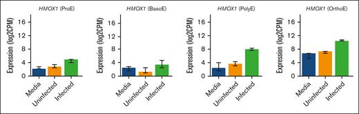 Upregulation of HMOX1 in erythroblasts directly infected with P falciparum. Expression of HMOX1, encoding heme oxygenase-1, in each erythroblast population. Data are shown as median with 95% confidence intervals.