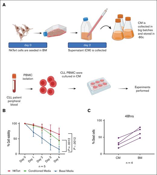 Establishment of CM for CLL. (A) Stromal NKTert cell line was cultured in complete media containing RPMI supplemented with 10% Fetal bovine serum (FBS) and penicillin-streptomycin (BM). Once the cells reached around 90% confluency, the supernatant was collected and filtered and stored at –80°C . Mononuclear cells, isolated from peripheral blood of samples from patients with CLL, were cultured in the presence of this CM (100%). More than 90% cells were CD19+ CD5+. (B) Relative CLL cells viability were measured when grown in presence of either CM, BM, or NKtert cells for 4 days (n = 5). CLL cells were separated from NKtert cells before measuring cell viability. (C) Annexin V staining of CLL cells after 2 days in culture with CM or BM (n = 4). Error bars represent standard error of the mean, P values were calculated using paired t test, and P value < .05 indicate statistical significance. Figure created with BioRender.com.