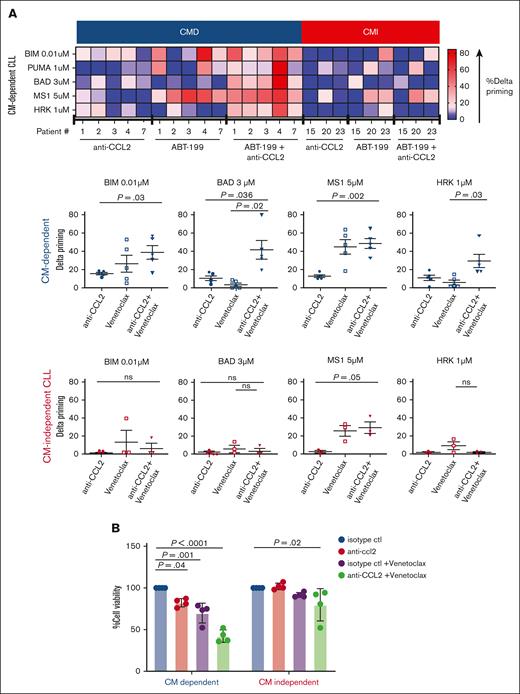 Combination of anti-CCL2 and venetoclax increased sensitivity of CMD CLL toward apoptosis. (A) Upper, delta priming measurement of CLL samples treated with either anti-CCL2 (1 μg/mL) alone for 48 hours, venetoclax (0.5 nM) alone for 1 hour, or with venetoclax + anti-CCL2 cultured in presence of CM. Delta priming was calculated from before and after treatment in response to BIM, BAD, and HRK peptides. (CMD, n = 5; CMI, n = 3). Lower, Comparison of delta priming among treatments. Each point represents a CLL sample. Data are means ± standard error of the mean. P values were calculated using 1-sided t test followed by a Bonferroni correction, and P value < .05 indicates statistically significance. (B) Cell viability of primary CLL samples was measured 48 hours after treatment with anti-CCL2, venetoclax, or anti-CCL2 + venetoclax cultured in CM (n = 4) independent samples for each group (CMD = patient #1, 2, 3, and 7 and CMI = patient #20, 21, 22, and 23), Error bars represent standard error of the mean. P values were calculated using 2-way analysis of variance, and P value < .05 indicates statistical significance.