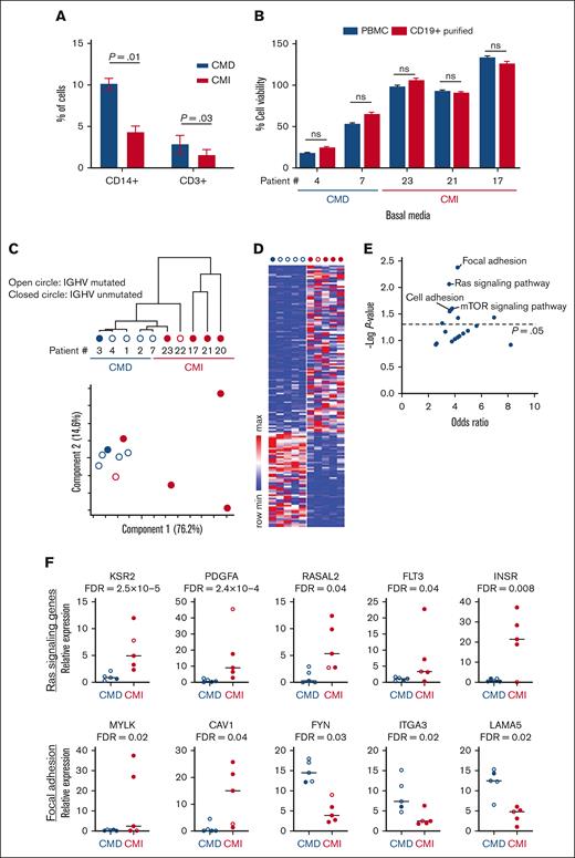 Monocytes and T-cells do not influence CLL survival. (A) PBMCs from patients with CLL n = 5 from both groups were stained for either CD3+ or CD14+ and their representation compared. (B) CD19+ cells were isolated from CLL PBMCs from both groups, n = 3. PBMCs and CD19+ B-CLL cells were grown in RPMI for 48 hours. Cell viability was compared between PBMCs and purified CD19+ B-CLL cells. (C) Upper, hierarchical clustering of gene expression data of CMD vs CMI CLL (n = 5 each group) using Gene Cluster 3.0. Lower, principal component analysis of different CMD and CMI samples. (D) Heatmap showing differentially expressed genes between CMD vs CMI CLL (False Discovery Rate (FDR) < 0.05; Fold Change (FC) > 2). (E) Signaling pathways enriched for the differentially expressed genes in (B) using Enrichr and the Molecular Signatures Database. (F) Relative expression of genes in RAS signaling pathway and focal adhesion.