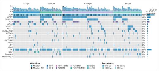 Mutational analysis of patient cohort. Combined IDH1 and IDH2 mutations with overlapping cytomolecular mutations per age cohort. NF, nonfunctional.