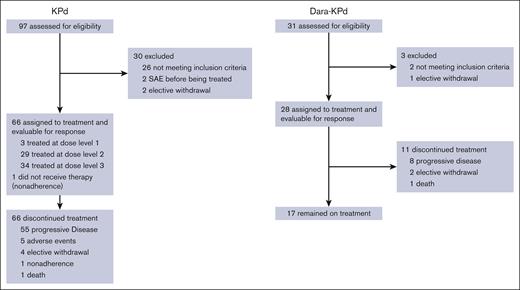 CONSORT diagram. SAE, serious AE.