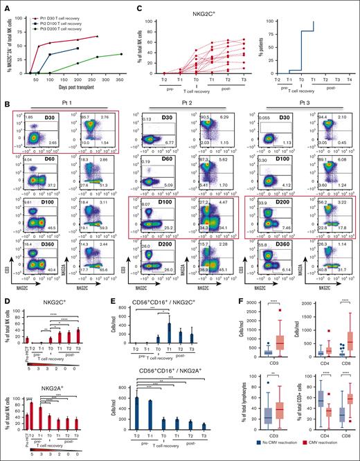 Early T-cell reconstitution is associated with the emergence of CMV-induced NKG2C+ NK cells in recipients of TCD HCT. (A) NKG2C+ cell reconstitution in 3 recipients of TCD HCT who all experienced CMV reactivation by day 30 (gray dotted line) after HCT but exhibited different times of T-cell recovery. (B) Recovery of CD3+ T cells and expansion of NKG2C+ NK cells at sequential time points after HCT in 3 individuals. Red squares highlight the time point at which T cells were first detected. (C) Percentage of NKG2C+ cells among all NK cells (left) and the percentage of patients with NKG2C+ NK cell expansions (percentages >4% were considered positive for NKG2C expansion based on non–CMV-reactivated data) at indicated time points relative to T-cell recovery (T0) (right) (n = 16). (D) Percentage of NKG2C+ (top) and NKG2A+ (bottom) of total NK cells and (E) absolute counts of NKG2C+ (top) and NKG2A+ (bottom) of CD56+CD16+ NK cells, relative to time of first T-cell detection (T0) are shown (mean ± SEM) (T1, 447.4 ± 139.6 cells per μL vs T−2, 2.9 ± 0.7 cell per μL; P = .0004). The gradient bar indicates the number of patients with CMV reactivation at the indicated time point. (C-E) T0 is denoted as the time at which T cells were initially detected via flow cytometry in the PB, with T−2 and T−1 as time points before T-cell recovery, and T1 to T3 are time points after T-cell recovery. (D-E) Two-way ANOVA with multiple comparisons was used for statistical analysis. (F) CD3+, CD4+, and CD8+ T-cell absolute counts (CMV reactivation, n = 38; no CMV reactivation, n = 35) (top) and percentages (CMV reactivation, n = 50; no CMV reactivation, n = 60) (bottom) are measured at late time point samples. Interquartile range is depicted by a box with the middle line plotted as the median, and Tukey values are represented by whiskers and outliers. Unpaired/nonparametric t test (CD3) and two-way ANOVA with multiple comparisons (CD4 and CD8) were used for statistical analysis. One-way ANOVA with multiple comparisons was used for statistical analysis. ∗P ≤ .05; ∗∗P ≤ .01; ∗∗∗P ≤ .001; ∗∗∗∗P ≤ .0001.
