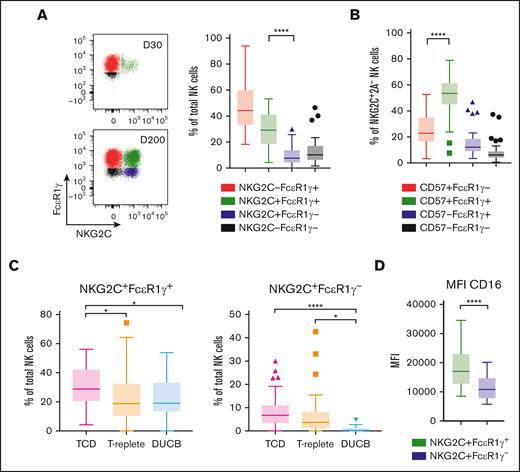 The majority of NKG2C+ NK cells express FcεR1γ and CD57 in recipients of TCD HCT with CMV reactivation. (A) FcεR1γ vs NKG2C dot plots gated on total NK cells of day 30 and day 200 after HCT from a representative recipient of TCD HCT with CMV reactivation (left). (A) Percentages of NKG2C and FcεR1γ subsets of total NK cells (right) and (B) percentages of CD57 vs FcεR1γ subsets gated on NKG2C+ NK cells lacking NKG2A from recipients of TCD HCT with CMV reactivation (n = 50). (C) Percentages of NKG2C+FcεR1γ+ (left) and NKG2C+FcεR1γ− (right) NK cells after HCT of patients receiving TCD (n = 50), T-replete (n = 47), or DUCB (n = 25) allograft infusions. All patients shown experienced CMV reactivation. (D) The mean fluorescence intensity (MFI) of CD16 on NKG2C+FcεR1γ+ and NKG2C+FcεR1γ− NK cells are depicted. Data gathered at late time points are shown. Interquartile range is depicted by a box with the middle line plotted as the median, and Tukey values are represented by whiskers and outliers. One-way ANOVA with multiple comparisons test (A-C) and paired/nonparametric t test (D) were used for statistical analysis, with ∗P ≤ .05; ∗∗P ≤ .01; ∗∗∗P ≤ .001; ∗∗∗∗P ≤ .0001.