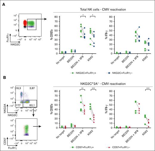 NKG2C+CD57+FcεR1γ+ NK cells from recipients of TCD HCT with CMV reactivation exhibit greater effector response compared with NKG2C+CD57+FcεR1γ− NK cells. Comparing the effector function of (A) NKG2C+FcεR1γ+ vs NKG2C+FcεR1γ− of total NK cells, and (B) CD57+FcεR1γ+ vs CD57+FcεR1γ− of NKG2C+2A− NK cells derived from recipients of TCD HCT with CMV reactivation (n = 6). The gates in the dot plots represent NK cell populations that were analyzed for effector function. Percentages of CD107a (left) and IFN-γ (right) of indicated NK cell subpopulations are depicted. Two-way ANOVA with multiple comparisons were used for statistical analysis, with ∗P ≤ .05; ∗∗P ≤ .01; ∗∗∗P ≤ .001; ∗∗∗∗P ≤ .0001.