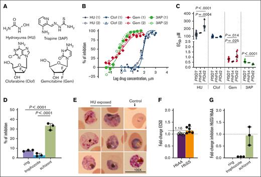 HU and additional RNR inhibitors inhibit P falciparum growth in vitro in a stage-specific manner. (A) Chemical structure of HU and 3 additional RNR inhibitors (3AP, clof, and gem). (B) One representative inhibitory dose-response curve (with 2 technical replicates) of Pf3D7 strain exposed to indicated drugs for 72 hours (in a standard EC50 assay). (C) EC50 of HU (Pf3D7 n = 35; pfnf54 n = 2; pfdd2 n = 14), 3AP (Pf3D7 n = 15; pfnf54 n = 2; pfdd2 n = 7), clof (Pf3D7 n = 13; pfnf54 n = 2; pfdd2 n = 8), and gem (Pf3D7 n = 15; pfnf54 n = 2; pfdd2 n = 8) as shown. (D) Exposure of Pf3D7 ring, trophozoite, and schizont stages by a 3-hour pulse of 329 μm HU and assessment of their development to subsequent stages (n = 3 each with 3 technical replicates). (E) Morphological analyses of maturation of rings exposed 72 hours to 394.8 μm of HU, as detected by Giemsa staining data shown from 1 representative experiment (from n = 3, each with technical replicates). (F-G) Fold change in HU activity against Pf3D7 infection of sickle (HbSS) compared with normal (HbAA) red cells in (F) EC50 and (G) parasite stage assays. In panels D,F-G, each dot represents an independent biological experiment (with triplicate technical replicates). Detailed information on biological and technical replicates of experiments conducted in HbSS and HbAA blood samples are provided in the legend of supplemental Figure 2B-G. In panels C-D, F-G, the horizontal bar represents the median and the vertical bar represents the interquartile range. For the mean comparisons in panels C-D, 1-way analysis of variance (ANOVA) with a Tukey post hoc analysis was used. EC, effective concentration.