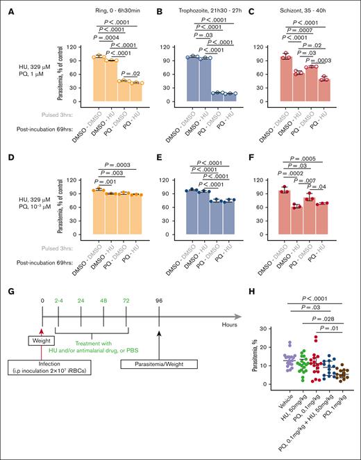 Extended analyses of the antiplasmodial activity of HU and PQ in vitro and in vivo. (A-F) Inhibition rate of PQ and/or HU according to the age of asexual blood stage parasites. Parasites (ring, 0-6.5 hours (h); trophozoite, 21.5-27 h; schizont, 35-40 h) were pulsed for 3 hours with 329 μM HU or 0.1% DMSO, then extensively washed and incubated 69 hours in media containing 1% DMSO or 329 μM HU or 1 μM (panels A-C) or 10-3 μM (panels D-F) of PQ. In panels A-F, DMSO-treated parasites were used as controls. (G-H) Additive activity of HU and PQ in P berghei Anka-infected mice. (G) Schematic representation of P berghei Anka (PbA) infection, drug treatment, body weight, and tail blood (for parasitemia) collections. (H) Parasitemia after 4 days of treatment. In panels A-F, H, the horizontal bar represents the median and the vertical bar represents the interquartile range. For the mean comparisons in panels A-F, H, 1-way ANOVA with a Tukey post hoc analysis was used.