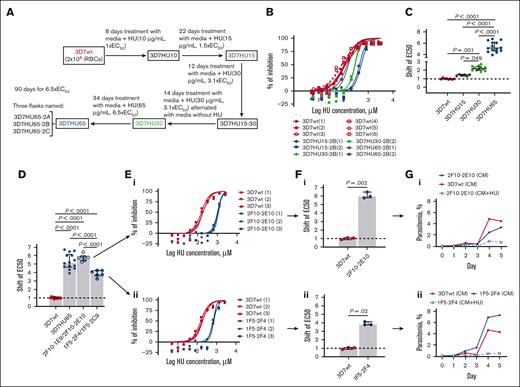 In vitro selection of HU-resistant Pf3D7 strain. (A) Diagram of selection schemes. Stepwise selections: 3 independent parasite cultures were exposed to stepwise increasing concentrations of HU (131.5-854.65 μM) as indicated. (B) A representative dose-response curves of HU against parental strain (3D7wt) and bulk-selected HU-resistant parasite populations at different time points of the selection (3D7HU15, 3D7HU30, and 3D7HU65). (C) Shift in EC50 of bulk-selected HU–exposed parasite populations at different time points of the selection (3D7HU15, 3D7HU30, and 3D7HU65). (D) Shift in EC50 of the bulk-selected 3D7HU65 parasite populations and 4 clones with higher (2F10-1E9, 2F10-2E10) or lower (1F5-2F4 and 1F5-2C9) EC50. (E) Dose-response curves of clones 2F10-2E10 (i) and 1F5-2F4 (ii) and parental Pf3D7 (3D7wt). (F) Shift in EC50 of clones 2F10-2E10 (i) and 1F5-2F4 (ii). (G) Growth response of clones 2F10-2E10 (i) and 1F5-2F4 (ii) maintained in media without HU (CM) or with HU at 6.5× EC50 (CM+HU65). Parental Pf3D7 strain (3D7wt) is also shown. In panels C-D, F, the horizontal bar represents the median and the vertical bar the interquartile range. For the mean comparisons, 1-way ANOVA with a Tukey post hoc analysis was used in panels C-D, and the Mann-Whitney test was used in panel F.