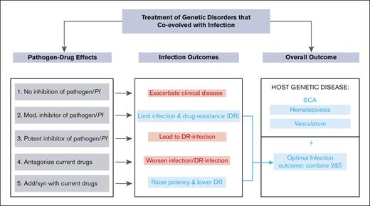 A biological model for the treatment of a genetic disorder that coevolved with infection. In this model, infection outcomes are assessed for the treatments of the host genetic disorder. Treatment 1, which has no effect on malaria, would leave patients with SCA highly susceptible to severe malaria and death. Treatment 2 with modest antiinfection activity that bypasses resistance, presents a strategy of choice. Treatment 3, which is potent against infection is expected to select resistant parasites given long-term treatment (of months to years) needed to treat the genetic disorder. Treatment 4 with antagonist interactions with antimalarial drugs are undesirable, whereas favorable drug interactions (treatment 5) combined with modest antiinfection activity as seen between HU and antimalarials (treatment 2), present the optimal path. This in conjunction with the improvement of the host genetic disorder (which in the case of SCA is through stimulation of hematopoiesis and reduction of vasculature inflammation) yields a safe long-term treatment that can be deployed in global health.