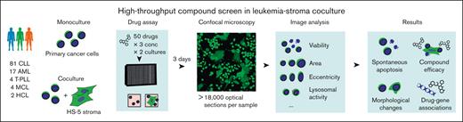 Imaging-based coculture screen in primary leukemias and lymphomas. Study outline. A total of 50 compounds were probed in 108 primary leukemia and lymphoma samples. Confocal microscopy images of leukemia cells alone (in monoculture) and in coculture with the HS-5 stromal cell line were acquired to compute viability and morphological properties.